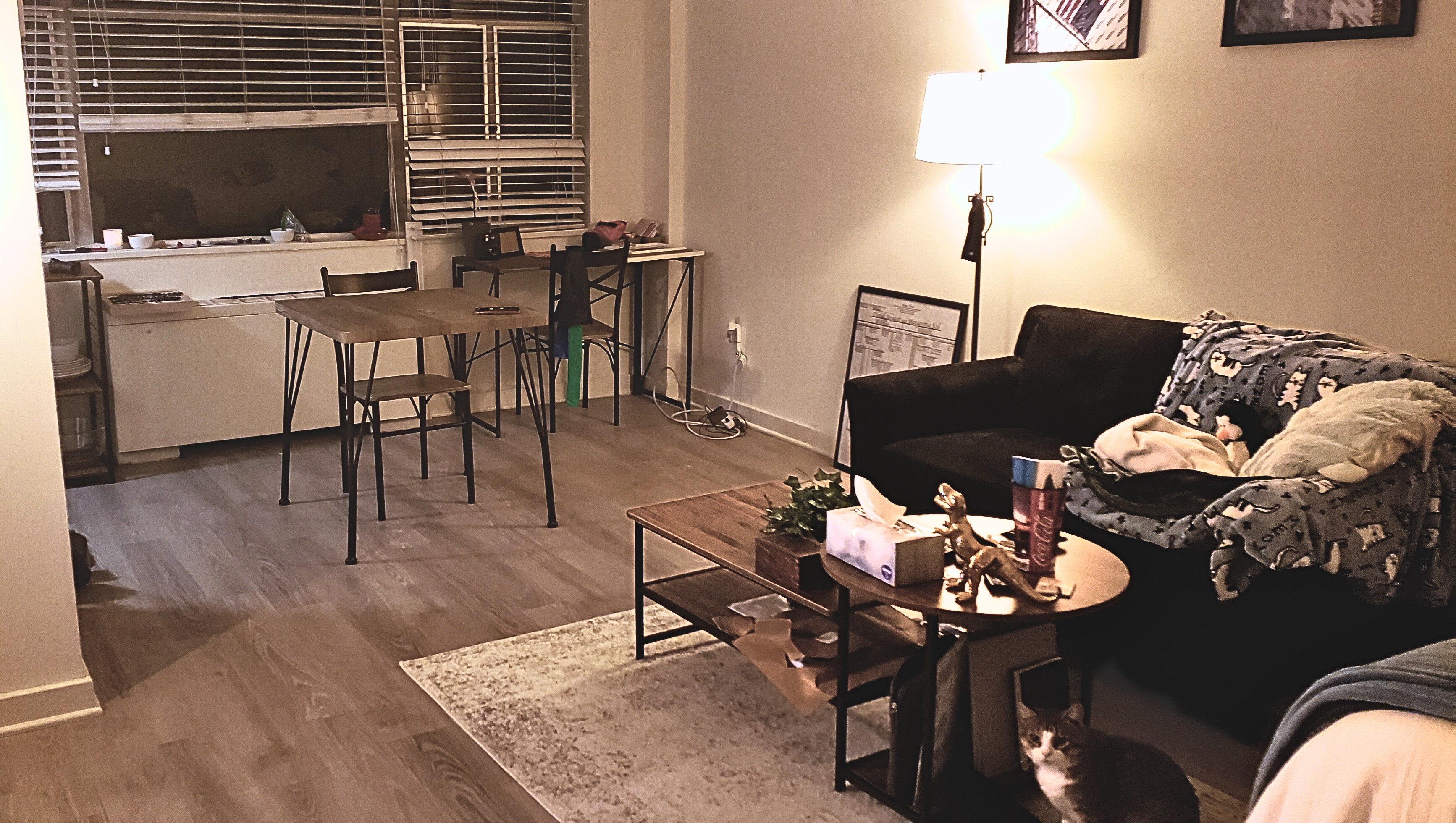 Dining after professional organizing
